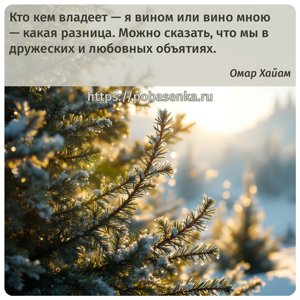 Кто кем владеет я вином или вино мною какая разница. Можно сказать, что мы...