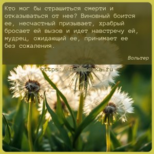 Кто мог бы страшиться смерти и отказываться от нее? Виновный боится ее,...
