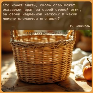 Кто может знать, сколь слаб может оказаться враг за своей стеной огня, за...