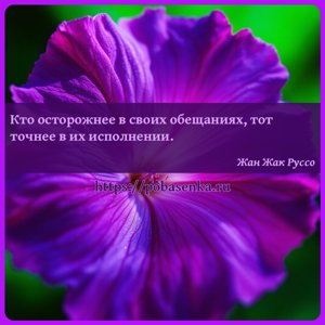 Кто осторожнее в своих обещаниях, тот точнее в их исполнении.