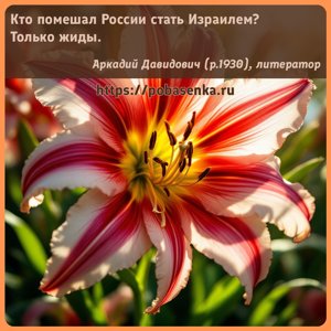 Кто помешал России стать Израилем? Только жиды.