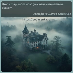 Кто стар, тот молодым огнем пылать не может.