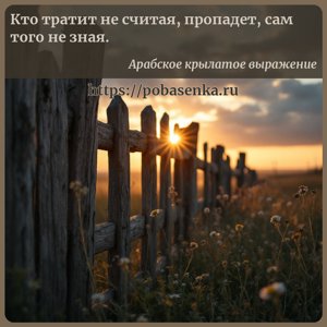 Кто тратит не считая, пропадет, сам того не зная.