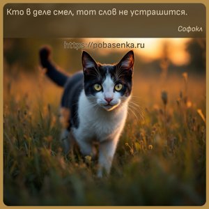 Кто в деле смел, тот слов не устрашится.
