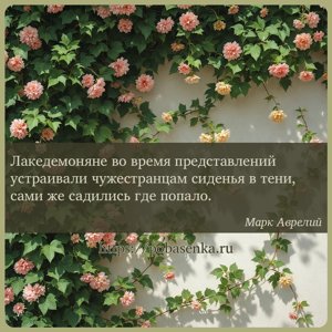 Лакедемоняне во время представлений устраивали чужестранцам сиденья в...