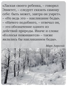 Лаская своего ребенка, говорил Эпиктет, следует сказать самому себе быть...