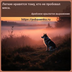 Легкие нравятся тому, кто не пробовал мяса.