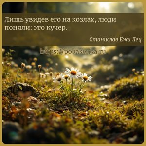 Лишь увидев его на козлах, люди поняли это кучер.