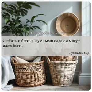 Любить и быть разумными едва ли могут даже боги.