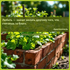 Любить значит желать другому того, что считаешь за благо.
