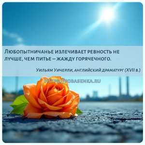 Любопытничанье излечивает ревность не лучше, чем питье жажду горячечного.