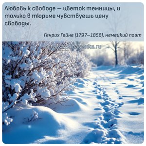 Любовь к свободе цветок темницы, и только в тюрьме чувствуешь цену свободы.
