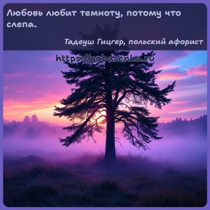 Любовь любит темноту, потому что слепа.