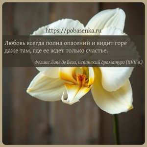 Любовь всегда полна опасений и видит горе даже там, где ее ждет только...