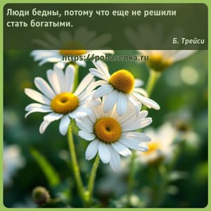 Люди бедны, потому что еще не решили стать богатыми.
