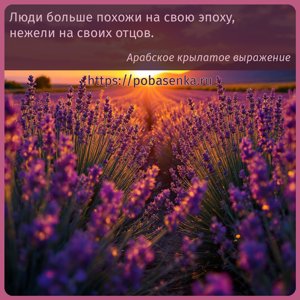 Люди больше похожи на свою эпоху, нежели на своих отцов.
