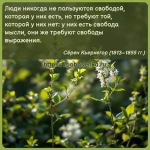 Люди никогда не пользуются свободой, которая у них есть, но требуют той,...