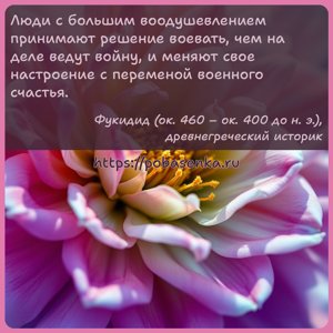 Люди с большим воодушевлением принимают решение воевать, чем на деле ведут...