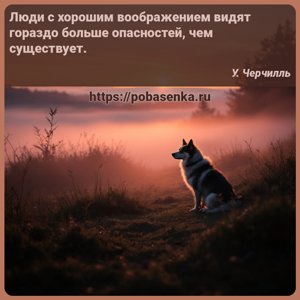 Люди с хорошим воображением видят гораздо больше опасностей, чем...