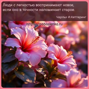 Люди с легкостью воспринимают новое, если оно в точности напоминает старое.