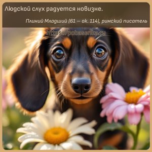 Людской слух радуется новизне.