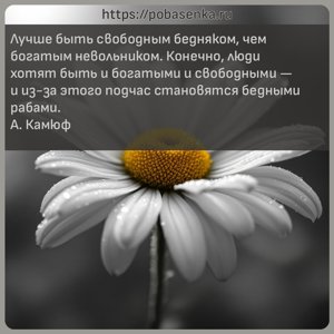 Лучше быть свободным бедняком, чем богатым невольником. Конечно, люди...