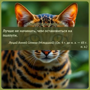 Лучше не начинать, чем остановиться на полпути.