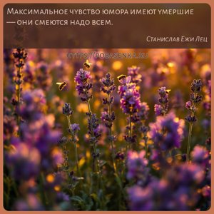 Максимальное чувство юмора имеют умершие они смеются надо всем.
