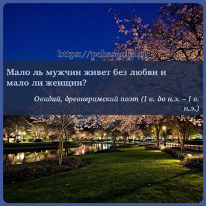 Мало ль мужчин живет без любви и мало ли женщин?