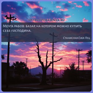 Мечта рабов базар, на котором можно купить себе господина.