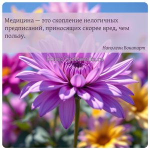 Медицина это скопление нелогичных предписаний, приносящих скорее вред, чем...