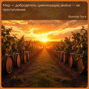 Мир добродетель цивилизации, война ее преступление.