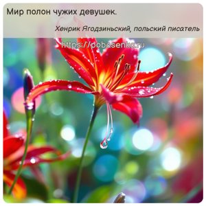Мир полон чужих девушек.