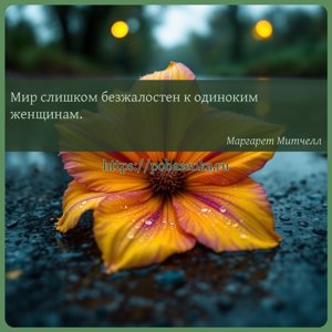 Мир слишком безжалостен к одиноким женщинам.