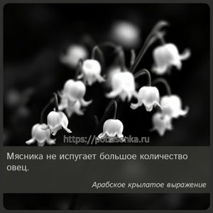 Мясника не испугает большое количество овец.