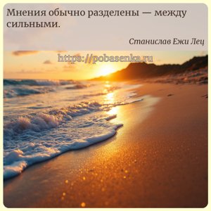 Мнения обычно разделены между сильными.