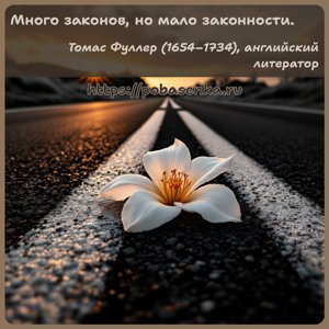 Много законов, но мало законности.
