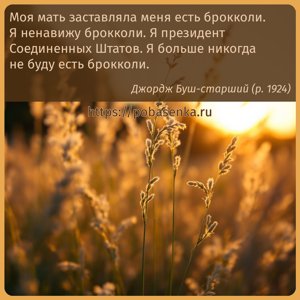 Моя мать заставляла меня есть брокколи. Я ненавижу брокколи. Я президент...