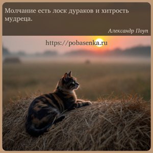 Молчание есть лоск дураков и хитрость мудреца.