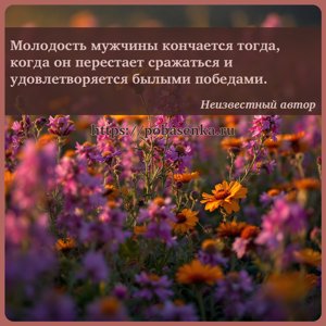 Молодость мужчины кончается тогда, когда он перестает сражаться и...