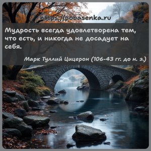 Мудрость всегда удовлетворена тем, что есть, и никогда не досадует на себя.