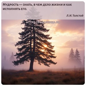 Мудрость знать, в чем дело жизни и как исполнять его.