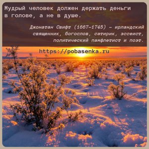 Мудрый человек должен держать деньги в голове, а не в душе.