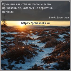 Мужчины как собаки больше всего привязаны те, которых не держат на привязи.
