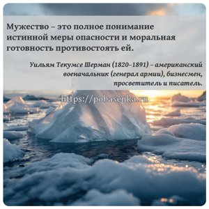 Мужество это полное понимание истинной меры опасности и моральная...