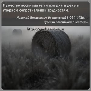 Мужество воспитывается изо дня в день в упорном сопротивлении трудностям.