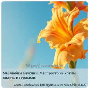 Мы любим мужчин. Мы просто не хотим видеть их голыми.