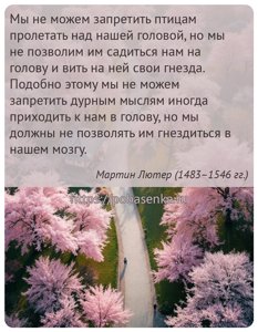 Мы не можем запретить птицам пролетать над нашей головой, но мы не...