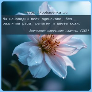 Мы ненавидим всех одинаково, без различия расы, религии и цвета кожи.