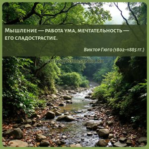 Мышление работа ума, мечтательность его сладострастие.